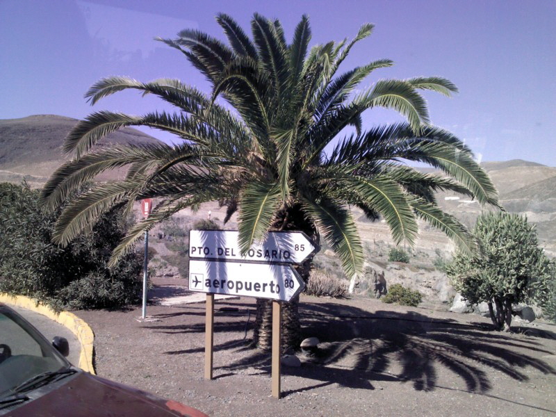 zurueck zum Flughafen W